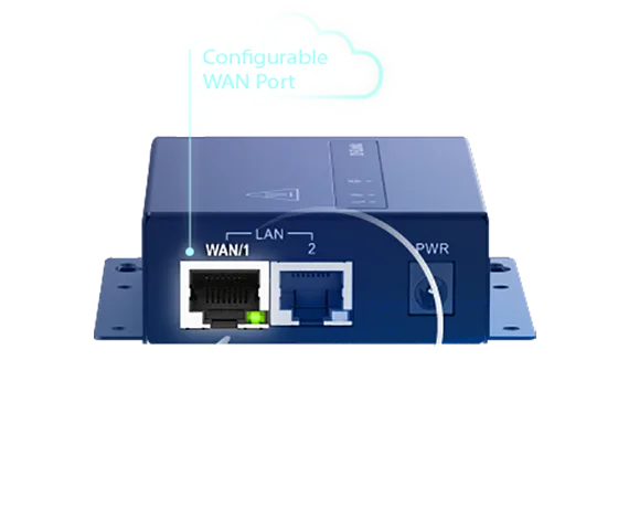 DWM-313 Carrier Diversity and Network Redundancy illustration