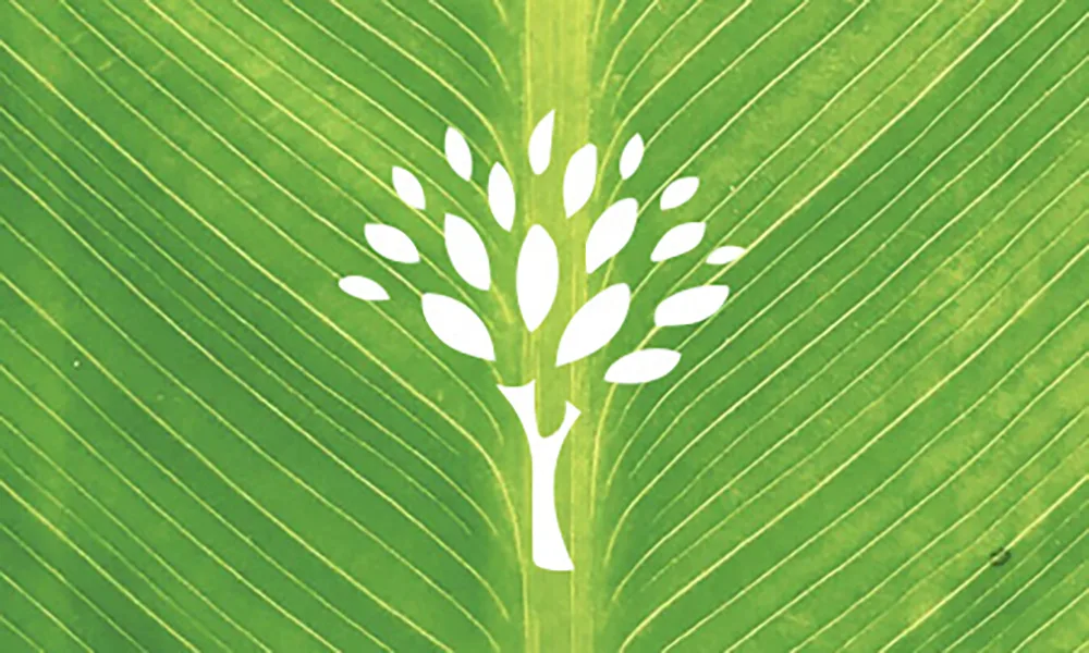 رسم توضيحي لتقنية D-Link Green