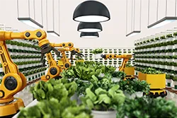 Smart Greenhouse